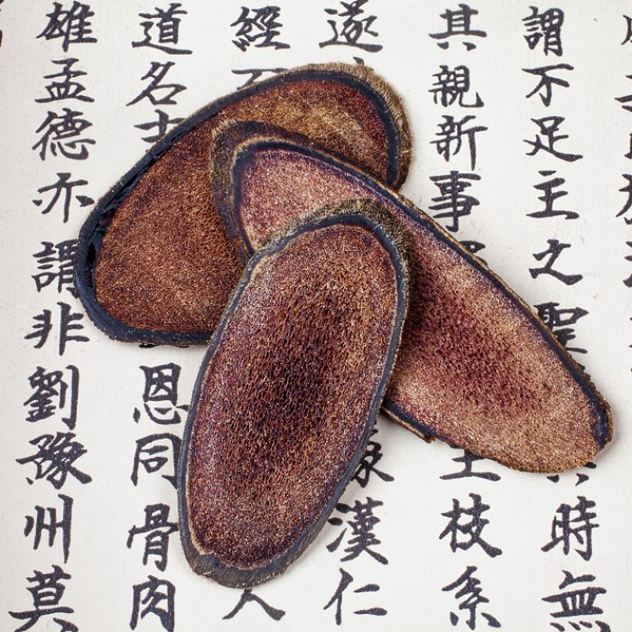 한약치료1